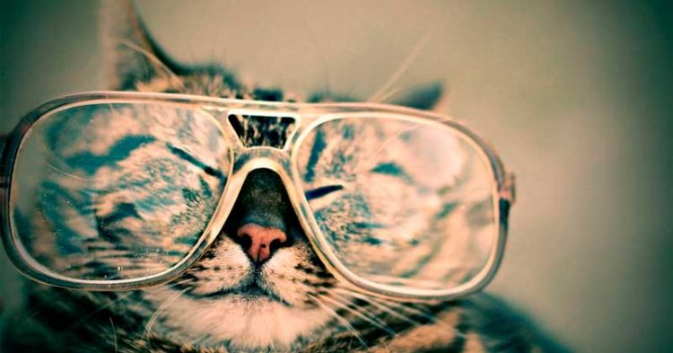 7 dicas para se adaptar bem (e rápido) a óculos multifocais